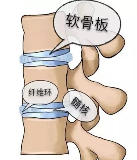 【全民养生】腰椎不好惹，看专家如何支招！