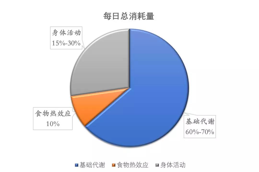 减肥路上，“吃”和“运动”谁更重要？