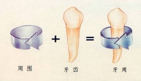 【全民养生】牙龈肿痛、出血，真的是上火这么简单吗？