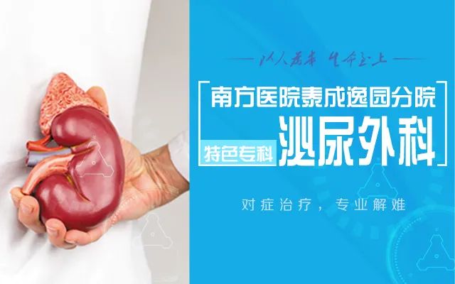 电子输尿管软镜下钬激光碎石术——微创取石，让“结石”无处可藏