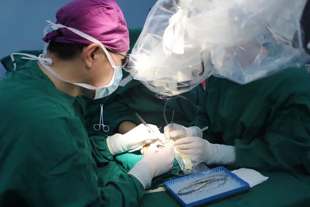 【医疗技术】南方医院泰成逸园分院成功完成高难度拇指断指再植术