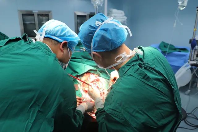 【医技动态】南方医院泰成逸园分院外科成功开展颅骨缺损修补术