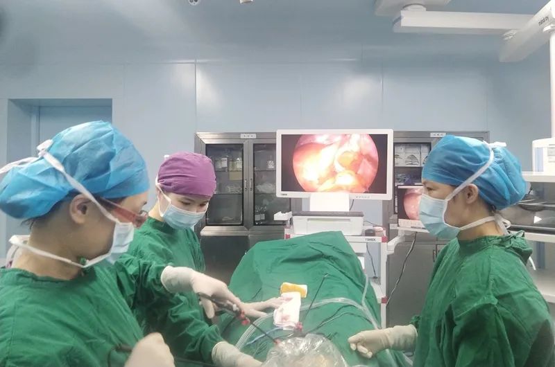 南方医院泰成逸园分院妇科成功施行宫外孕腹腔镜手术