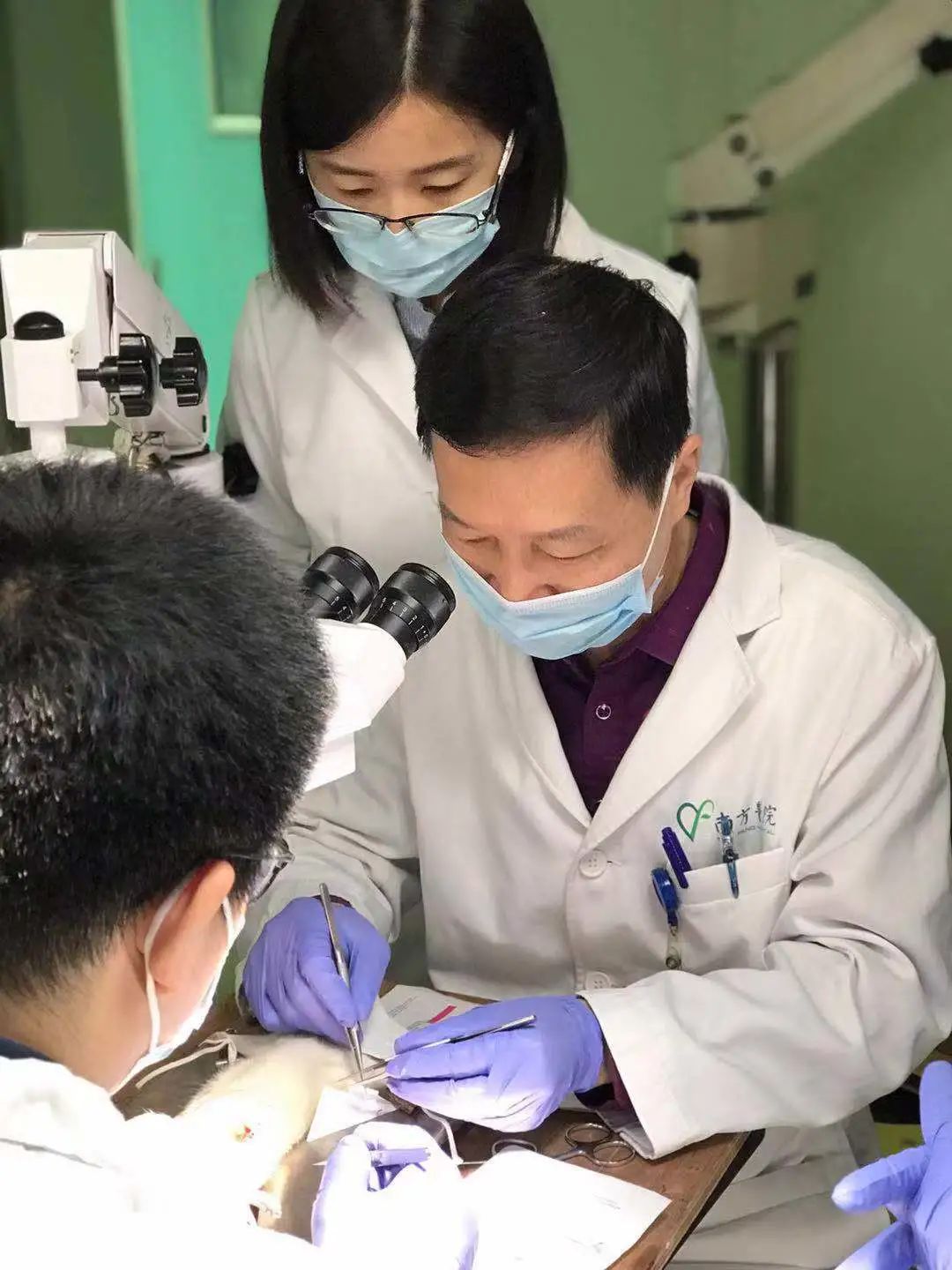 南方医院胡志奇团队“毛囊再生研究”获广东省科技进步一等奖