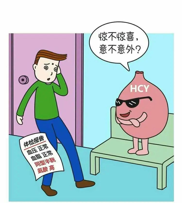 同型半胱氨酸：健康体检时，不容忽视的检查项目