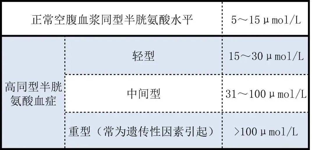 同型半胱氨酸：健康体检时，不容忽视的检查项目
