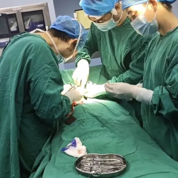体检发现甲状腺结节莫慌！泰成逸园医院外科主任告诉您怎么处理？