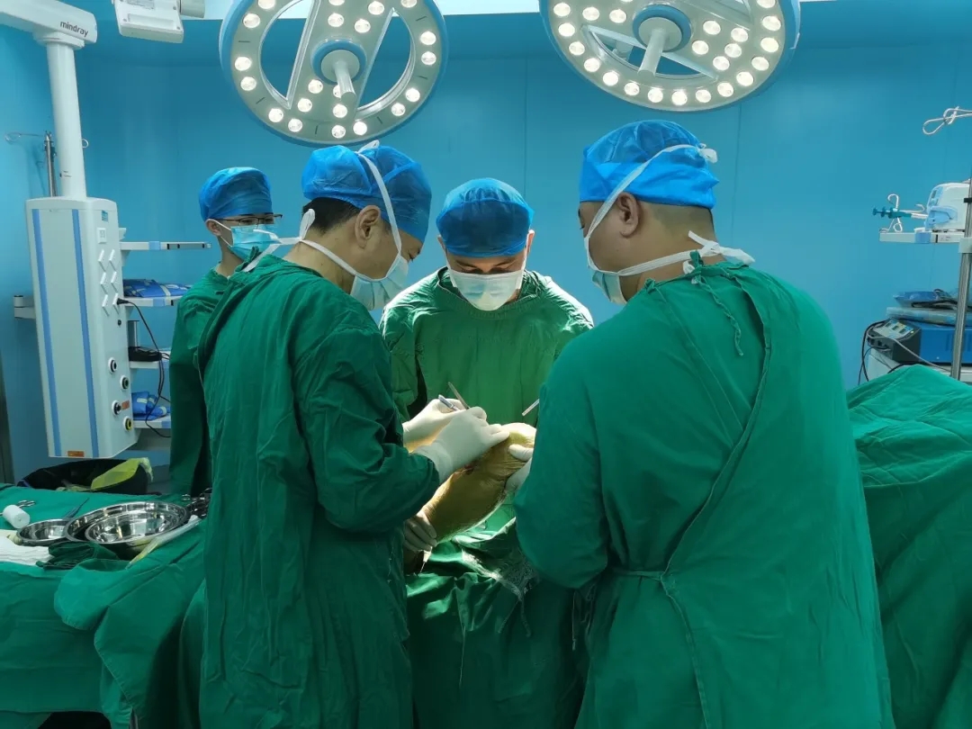泰成逸园医院成功完成人工膝关节表面置换术，让患者行走重燃新“膝”望