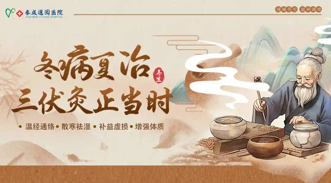 2024年泰成逸园医院三伏灸开贴啦！