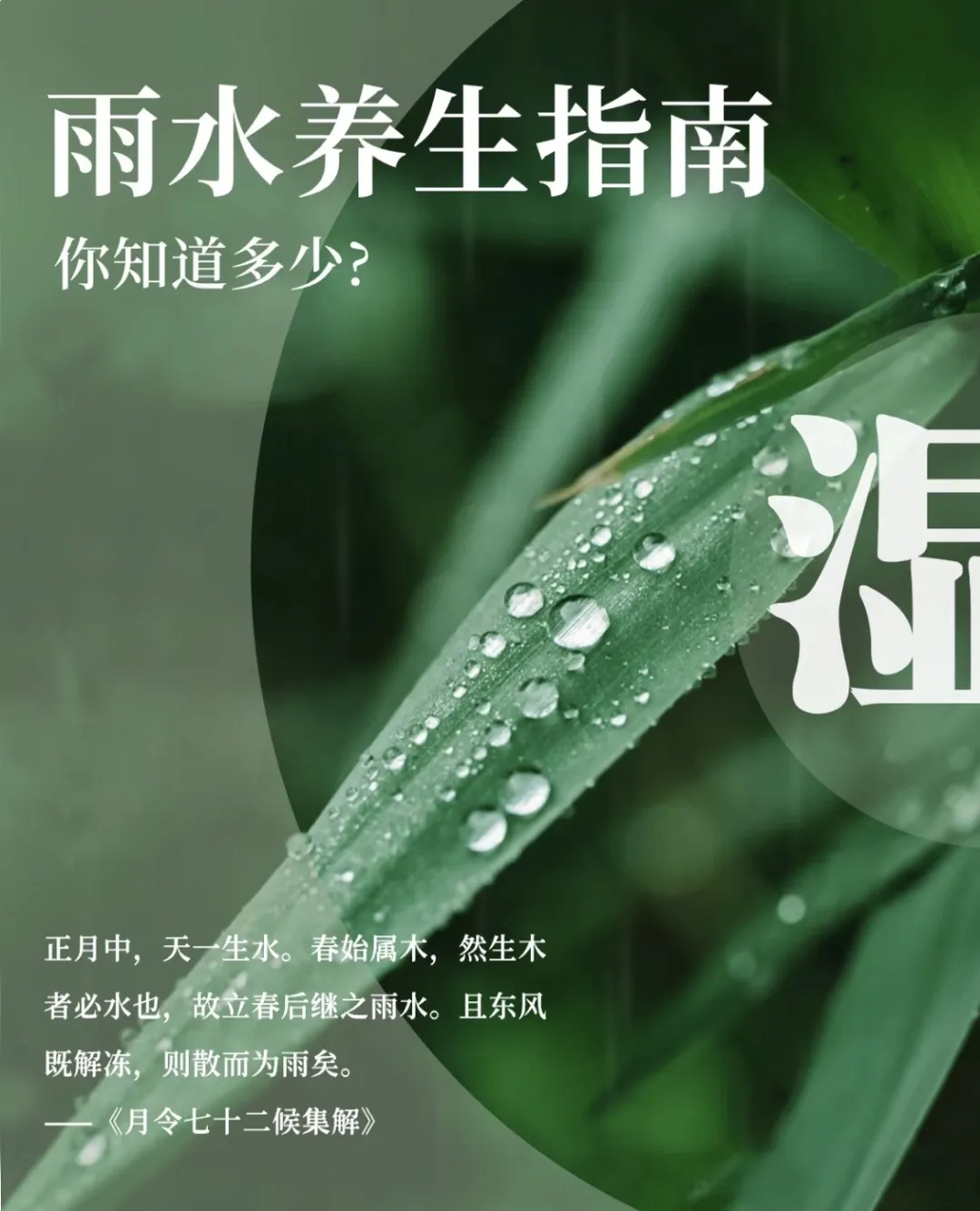雨水节气养生小贴士，轻松应对季节变换，让您活力满满！