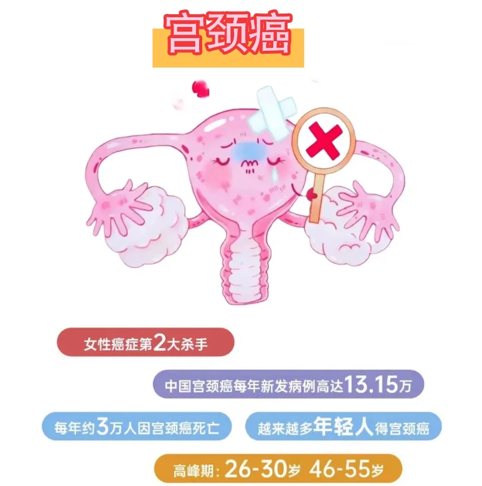 每个女性都值得被守护，预防宫颈癌，从了解HPV开始！