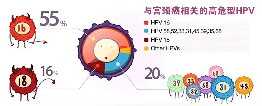 每个女性都值得被守护，预防宫颈癌，从了解HPV开始！