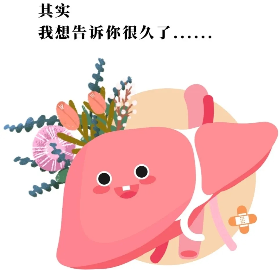 3.18全国爱肝日｜警惕肝变“硬”，避免大动“肝”戈